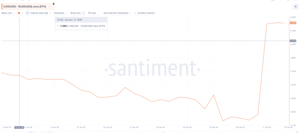 Крупные держатели Ethereum приобрели активы на $2 млрд на фоне подготовки к росту