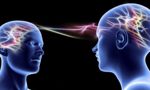 Animoca покупает Somo на фоне восстановления рынка NFT в начале 2026 года