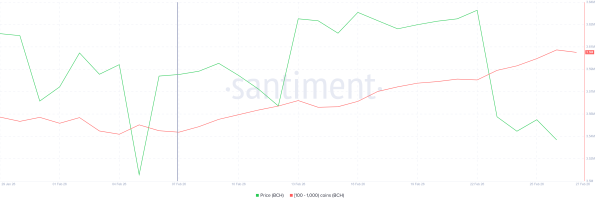 Инвесторы накопили Bitcoin Cash на $28 млн перед вероятным скачком цены на 28%
