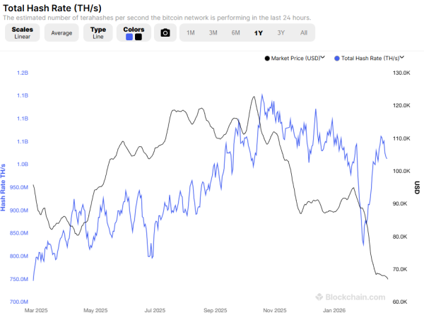 Бычьи сигналы биткоина, которые инвесторы упускают из-за страха