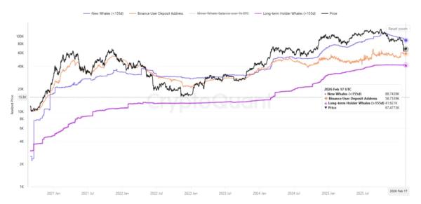 &laquo;Дорожная карта до дна&raquo;. Аналитик указал на важные для биткоина индикаторы