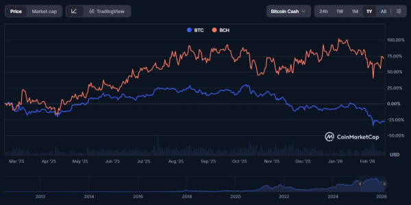 Как Bitcoin Cash (BCH) ворвался в топ-10 и при чем тут Эпштейн Как Bitcoin Cash (BCH) ворвался в топ-10 и при чем тут Эпштейн