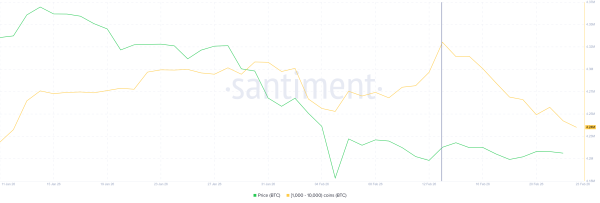 Киты могут додавить биткоин до $60 000