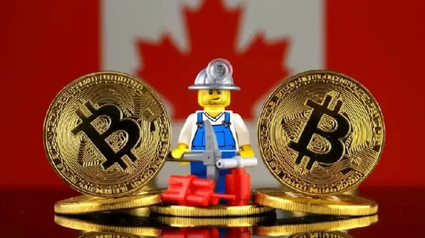 Хакер устроил майнинговую ферму из университетской компьютерной сети