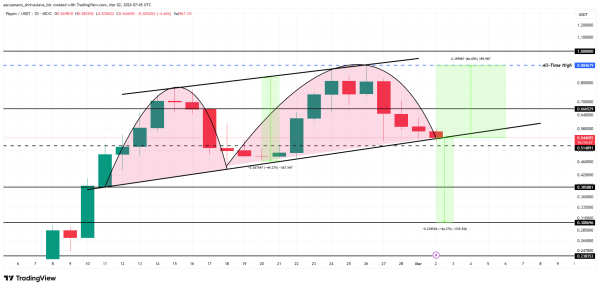 3 альткоина, которые могут обновить максимумы в марте 2026