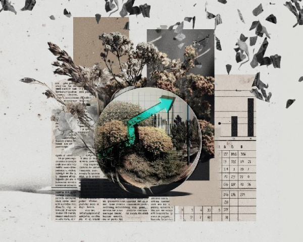 Пользователи Kalshi потеряли деньги на отмененной по этической причине ставке&nbsp;