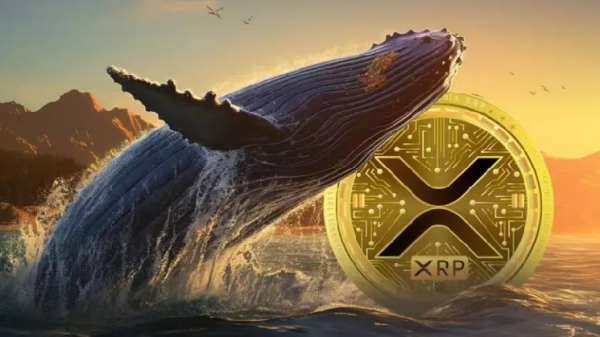 Evernorth прогнозирует шок предложения XRP: 7 миллиардов токенов покидают биржи