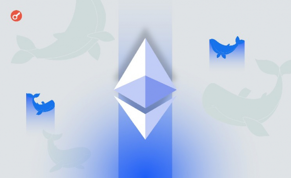 Количество Ethereum-китов выросло на фоне скачка активности в сети