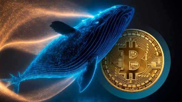 Крупные игроки Bitfinex, чья цена движется обратно пропорционально биткоину (BTC), совершили самое значительное движение за последние два с половиной года! Что это значит для...