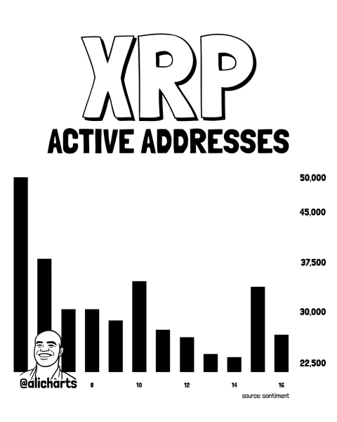 Santiment: за две недели активность в сети XRP обрушилась на 50%