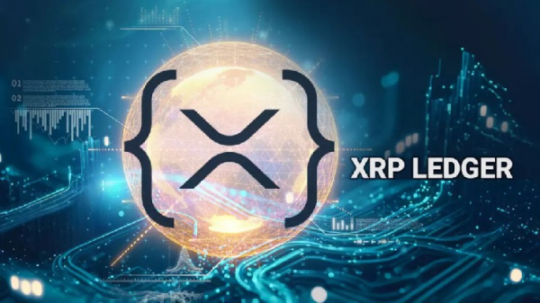 Розничные кошельки составляют более 93% от общего числа XRP-адресов Розничные кошельки составляют более 93% от общего числа XRP-адресов
