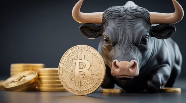 Заявление директора по информационным технологиям Bitwise Хоугана на Bull Show: Новый крипторынок будет медленнее и менее волатилен!