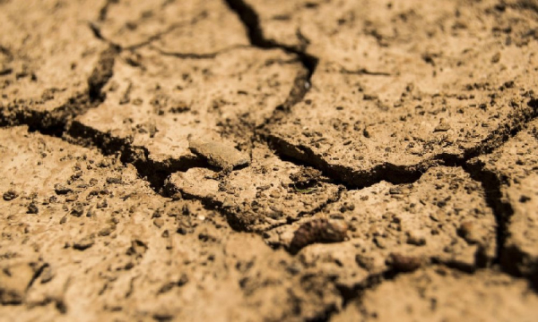 Объем сжигания SHIB упал до нуля после выходных с высокой активностью