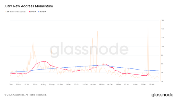 Крупные инвесторы сосредоточили 83,7% предложения XRP на фоне фиксации прибыли Крупные инвесторы сосредоточили 83,7% предложения XRP на фоне фиксации прибыли
